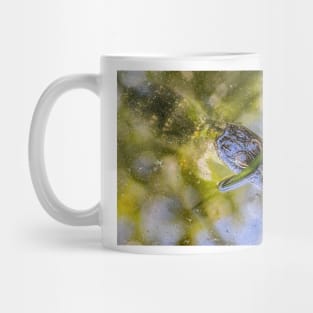 Wild Baby Alligator Mug